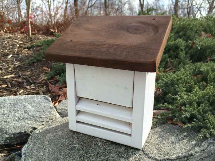 How to Build a Ladybug House & Invite Them Into Your Garden