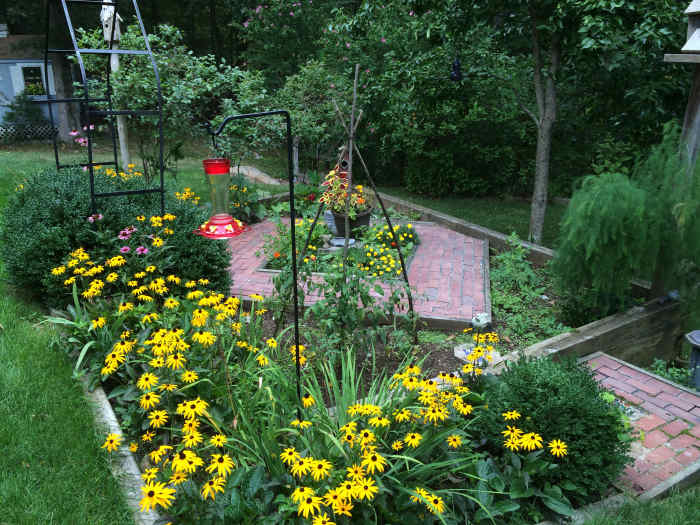 How to Attract Hummingbirds With Plants and Flowers Dengarden