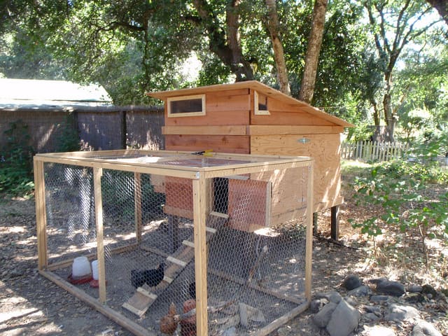 How to Plan a Backyard Chicken House: DIY Coops and Accessories - Dengarden