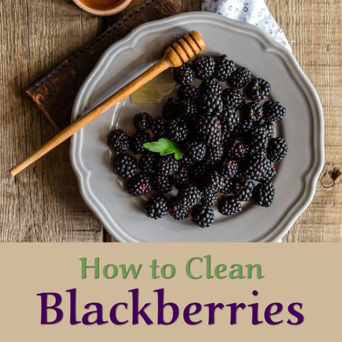 Do you know how to properly clean blackberries after picking? The tricky part is cleaning them well without ruining them!