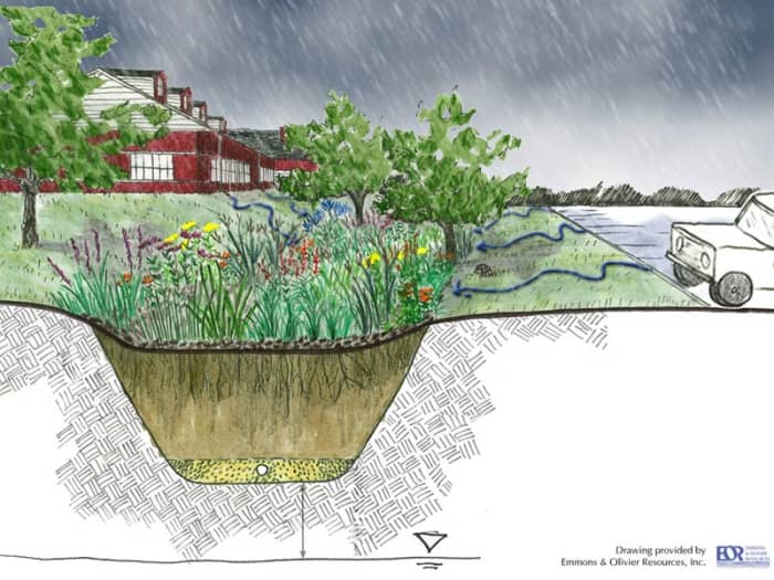 Plant roots work as natural cleaners in a rain garden. A top layer of mulch, then a 12-20 inch layer of compost mixed with soil holds all those fantastic plant roots - Mother Nature's filtering system. Below that is a layer of coarse sand or gravel.