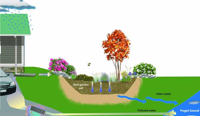 Two ways rainwater can travel. Note the storm sewer grate at the bottom left of diagram. It sends dirty water directly into a bay or river.