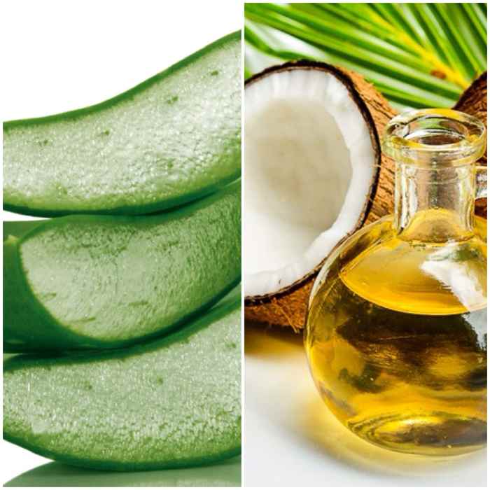 Aloe Vera vs. Coconut Oil—Benefits and Uses! Which Is better? Bellatory