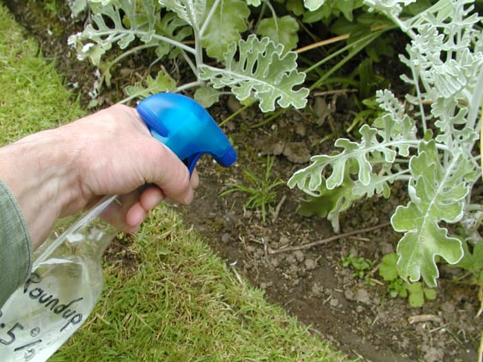 How to Get Rid of Weeds in 6 Different Ways - Dengarden - Home and Garden