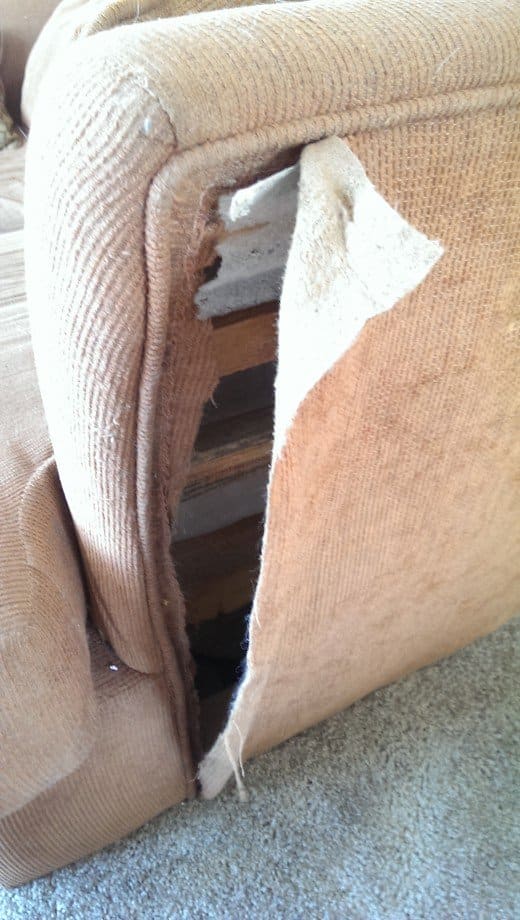 Cat damage for days. In this photo you can see the line of cording at the seam and the extra fabric allowance needed.