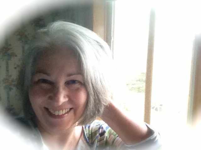 silver-lights-starring-your-hair