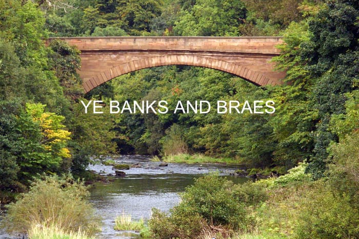 "Ye Banks And Braes": Fingerstyle Guitar Arrangement In Tab, Notation ...