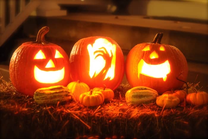 Not all pumpkins are equally suited to Jack-o-Lantern carving, so it's important to know what you're looking for.