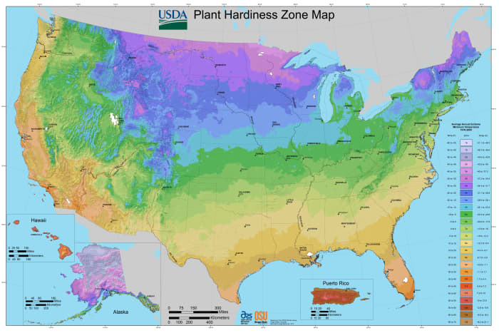This is the USDA Map of Gardening Zones, based on cold hardiness. The column on the right indicates the different zones by color.