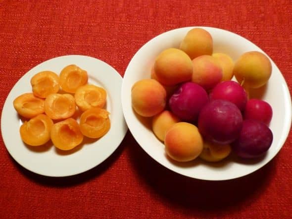 June 30, 2013: Ripe Blenheim apricots and Santa Rosa plums. The hot weather helped hasten the ripening.