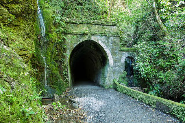 A rail trail is simply an old railroad bed that is no longer used and has been converted into a path for people to use for recreational purposes.