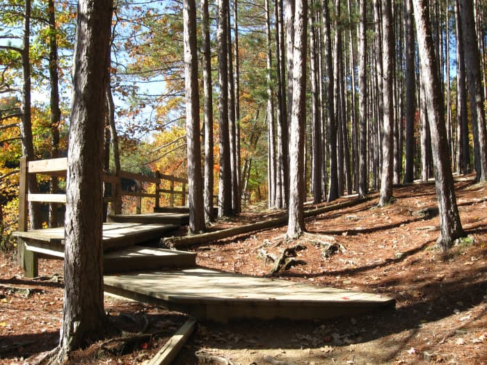 Brown County State Park Trails And Hiking SkyAboveUs