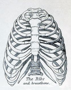 Various theories have been tossed around as to what causes Tietze's syndrome, which was first described in 1921.
