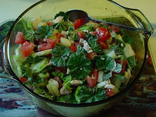 A mályva különösen jól működik salátákban.