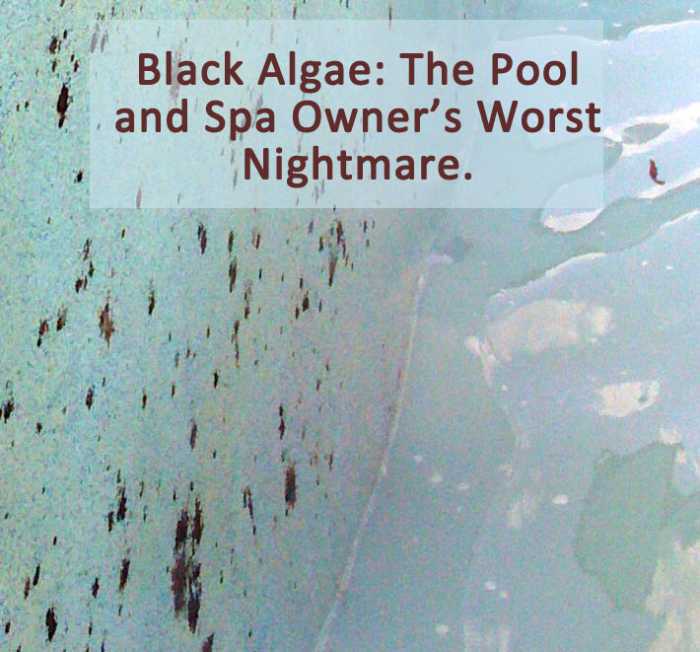 spa-and-hot-tub-maintenance-dealing-with-algae