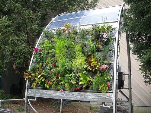 Beautiful Hydroponic Solar Vertical Garden. Photo courtesy of http://www.flickr.com/photos/irisdragon/2339219124/ under Creative Commons Attribution License