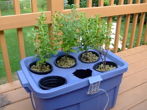 A basic hydroponic garden. Photo Credit: http://www.flickr.com/photos/jwynia/226672961/ under Creative Commons Attribution License