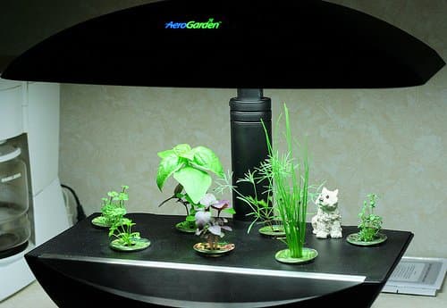 Hydroponic Garden. Photo Credit: http://www.flickr.com/photos/skye820/2292271231/ under Creative Commons Attribution License