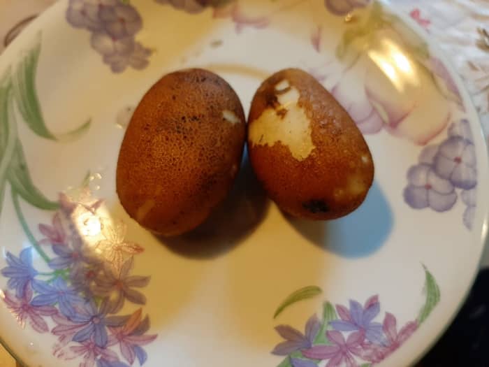 Kids love potatoes because you can grow tons of new potatoes out of the 'eye' of an existing potato!