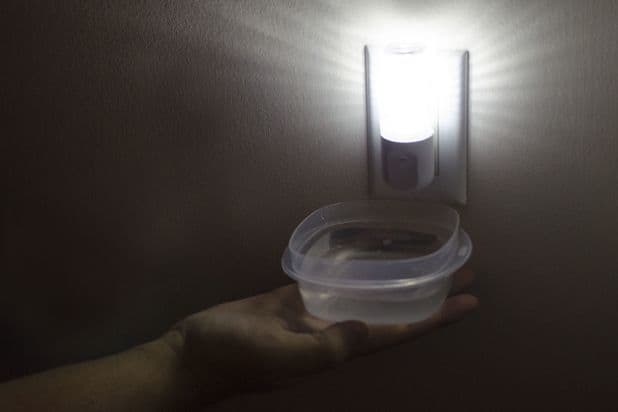 If you suspect that you have a flea problem, leave a bowl of dish soap under a nightlight. The soapy water combined with the light will attract fleas, who will die when contacting the water.