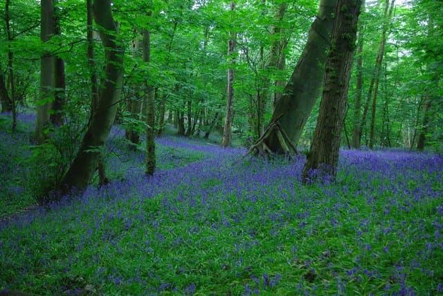 Delight at every turn awaits those who take a wander at Heather Hills