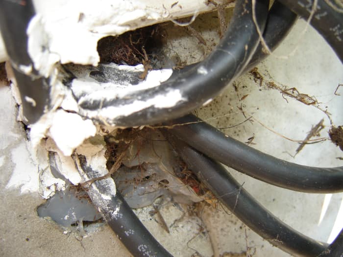 How to Keep Mice Out of Your House or Camper - Dengarden - Home and Garden