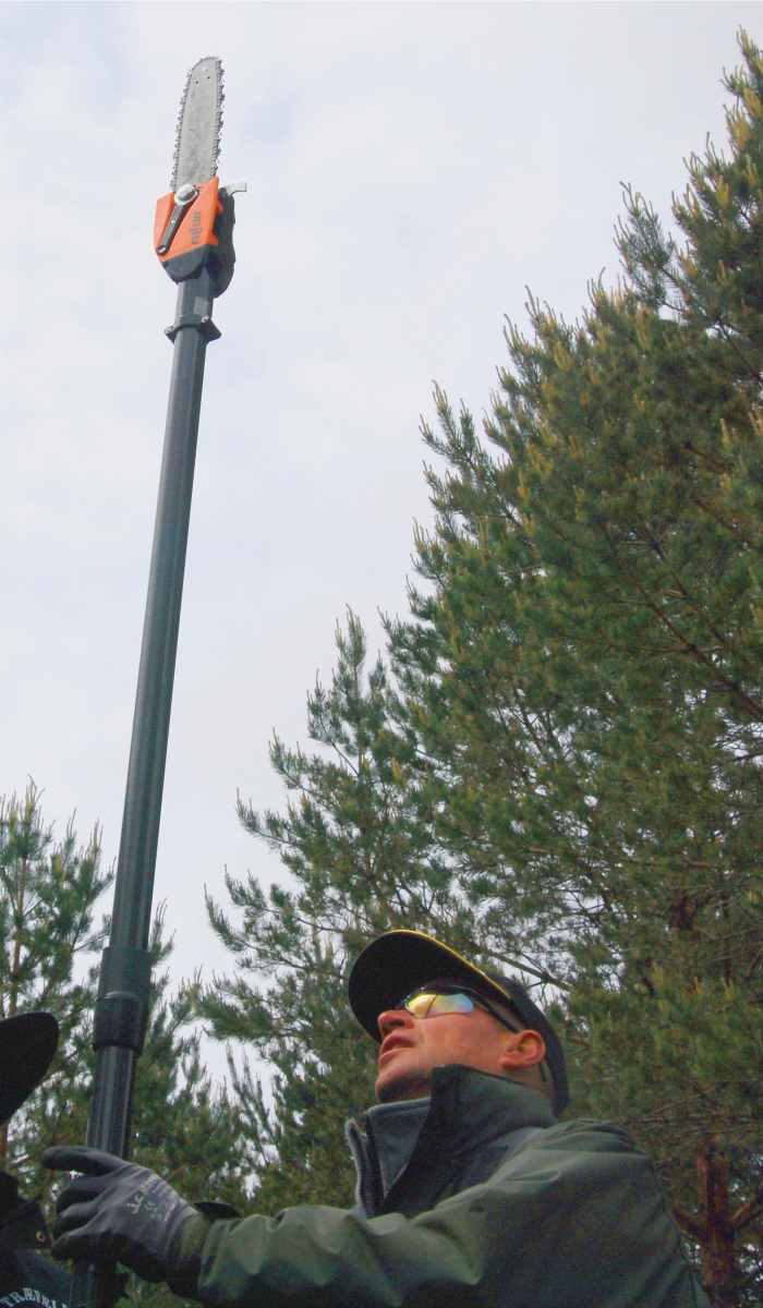 The Best Electric Pole Saws for Smaller Backyards and Gardens Dengarden