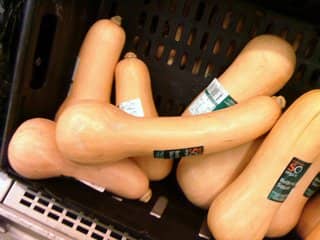 Butternut squash can be easily purchased in many stores, but growing and storing your own is way more fun and satisfying!