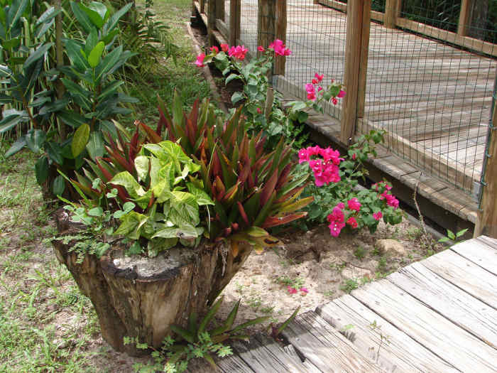 How to Make a DIY Stumpery in Your Garden Dengarden