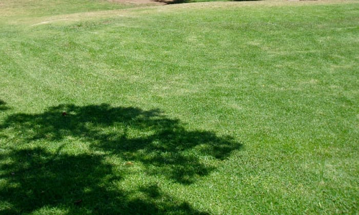 Golf-Course Mimic––typified by wide expanses of green grass and a few shade trees. Homeowners in California like this one, but it's not sustainable in most parts of the state.