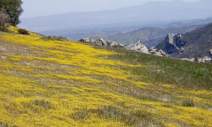 The lay of your yard could match or mimic the region's natural land forms.