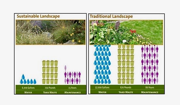 These charts show the comparison of the native and traditional gardens' use of water, production of green waste, and maintenance requirements.