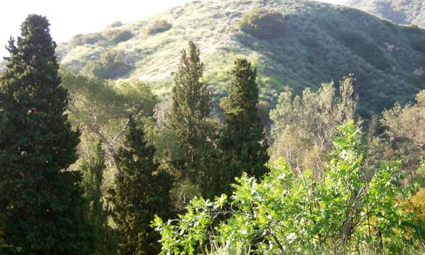 Go hiking to discover the natural biome near where you live. This is what best fits your local weather patterns and seasons.