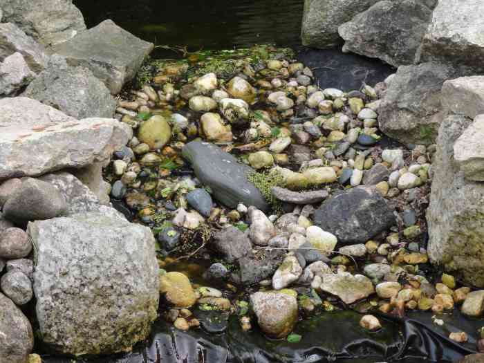The Stream - Connecting the Ponds
