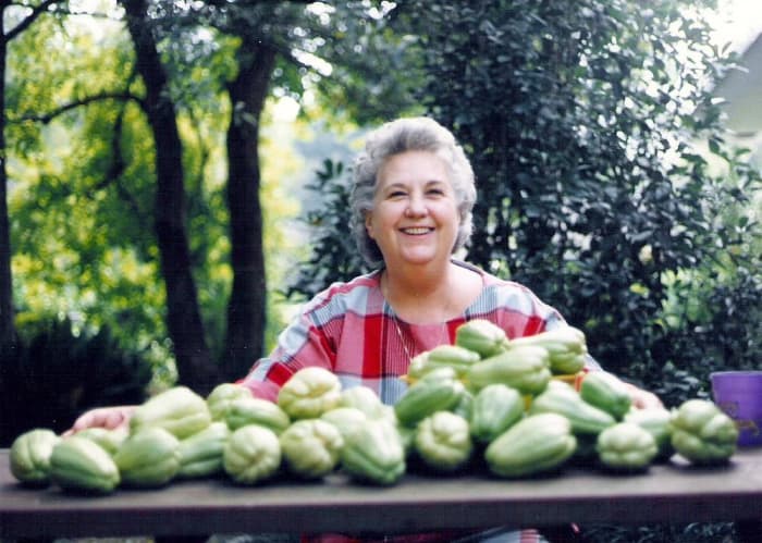 My mother-in-law, Dottie, with a few of the mirlitons that we grew one year.