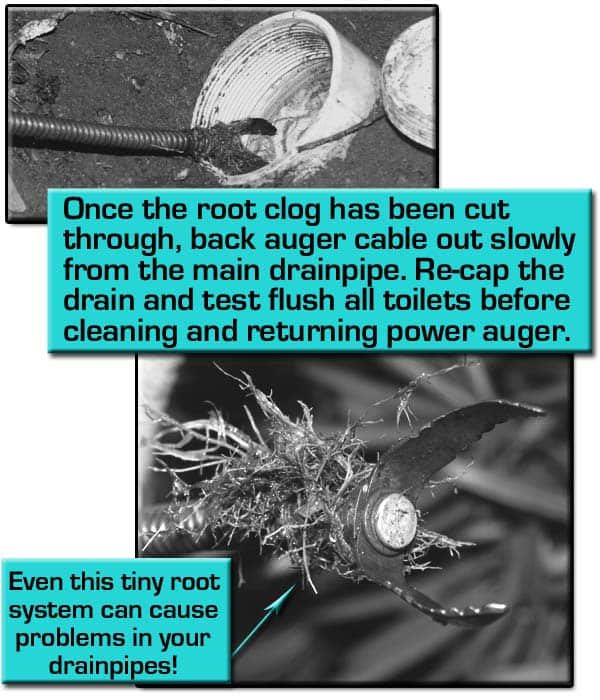 Back out the auger carefully after roots have been cut through and cap drain plug. Test flush all toilets before cleaning and returning power auger unit.
