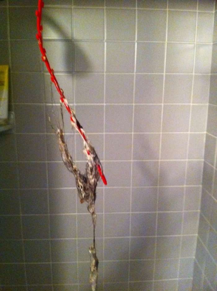 How to Unclog a Shower Drain With a Snake and Drano Dengarden