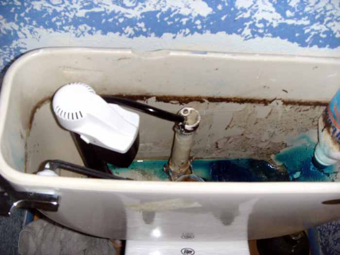 Toilet Repair How to Fix a Leaking or Running Toilet Dengarden