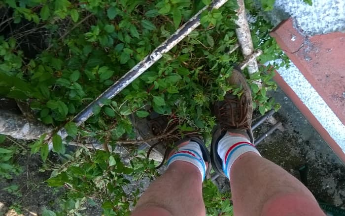 Watch out for any vegetation lying on the rungs. It's very easy to slip on this, especially if it's wet. Cut back vegetation or reposition the ladder if possible.