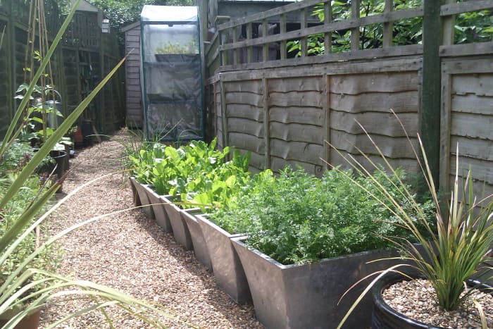 how-to-grow-your-own-vegetables-in-pots-and-containers-dengarden