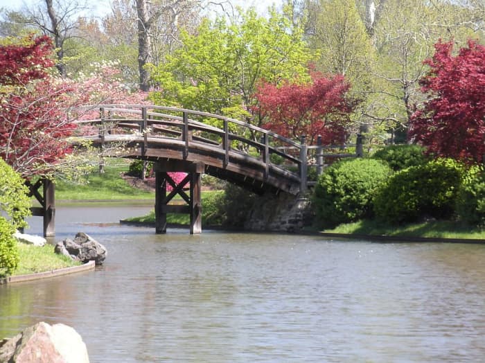 A bridge in a Japanese garden. One other way to showcase water is with beautiful ponds.
