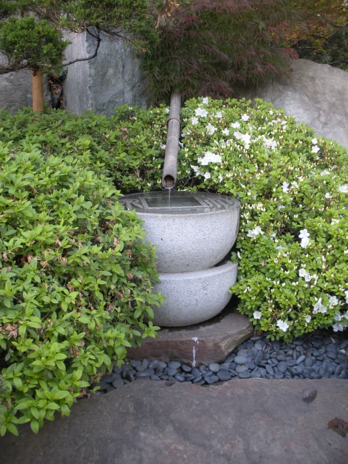 Unique fountain with azaleas surrounding it. You have to go down a little rock path to get closer.