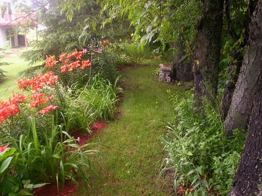 A Perennial Shade Garden