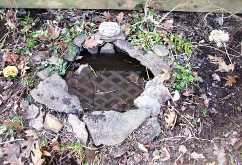 This pond was as easy as digging a small hole, upending and positioning the lid, and filling it with water.