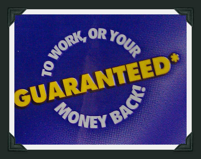 Hot Shot Bedbug and Flea Spray Review Dengarden