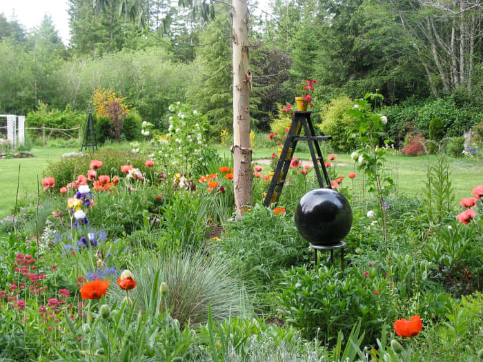 Orange and pink oriental poppies, pink monarda, and blue and white iris spark colours amidst the shades and textures of foliage. As a black ladder adds vertical interest, a black gazing ball, like a reflecting pond, encourages introspection.