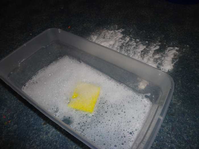 Homemade CarpetStain Remover Dengarden