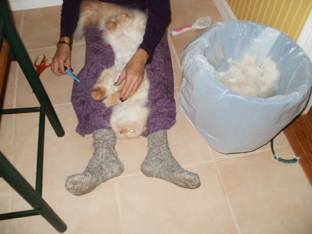 My sister, the Cat Whisperer, de-matting Axel on my kitchen floor cleaned with baking soda and water.