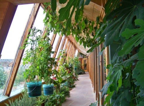Greywater Filtration Solarium - All plants in this solarium, mostly edible, are fed by water discarded from sinks, showers, and the washing machine. Excess water goes from here to flush toilets, after filtration through the soil.