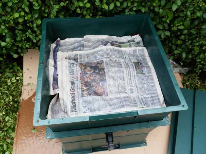 How to Set Up a Worm Composting Bin (With StepbyStep Photo Guide